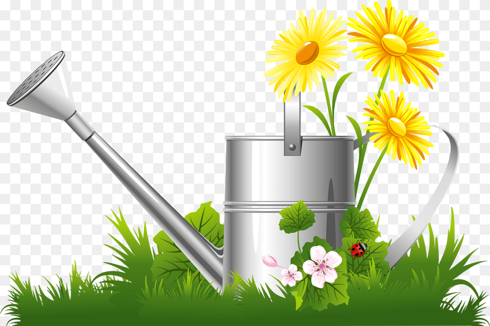 Spring Decoration With Water Free Transparent Png