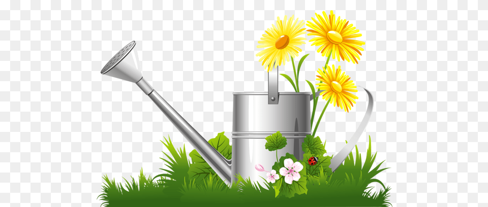 Spring Decoration With Water Can Grass And Flowers Clipart, Tin, Daisy, Flower, Plant Free Png Download