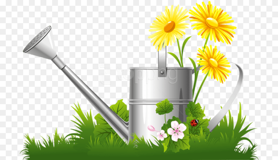 Spring Decoration With Water Can Grass And Spring Clipart, Tin, Flower, Plant, Daisy Png Image