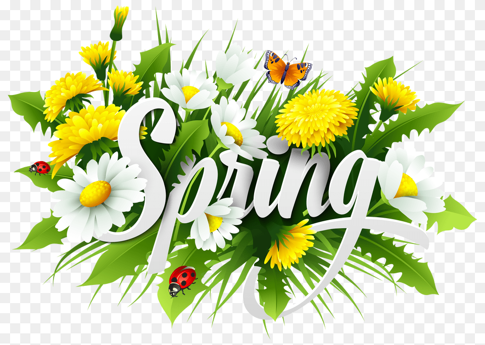 Spring Decorative Image, Art, Herbs, Herbal, Graphics Free Transparent Png