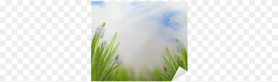 Spring Easter Background With Beautiful Blue Flowers Spring, Bud, Flower, Grass, Nature Free Png