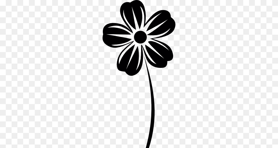 Spring Flower, Daisy, Plant, Stencil, Anemone Png