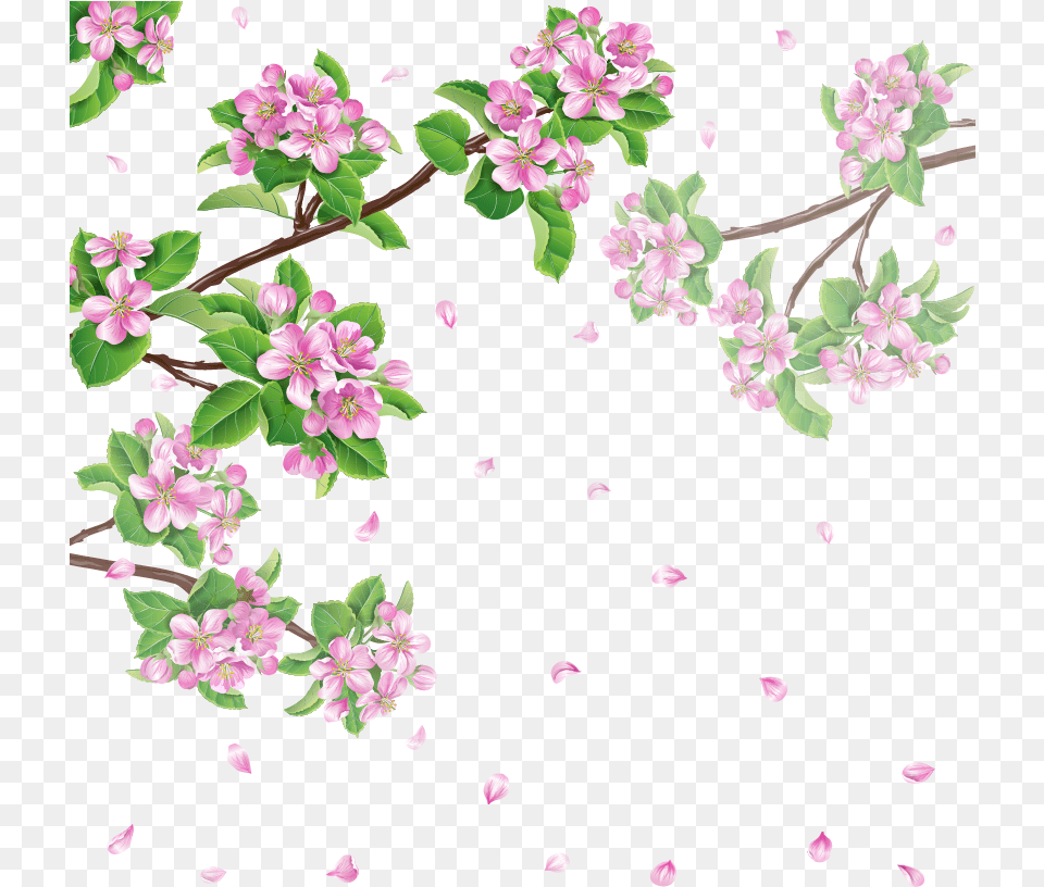 Spring Flower Cherry Blossom Cherry Blossoms Good Morning Basant Panchami, Petal, Plant, Cherry Blossom, Pattern Png Image