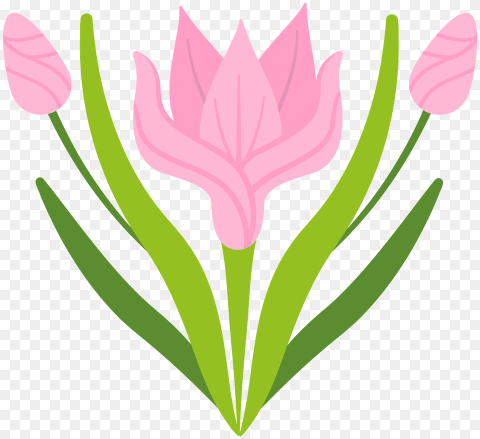 Spring Flower Clipart, Petal, Plant, Art, Tulip Png