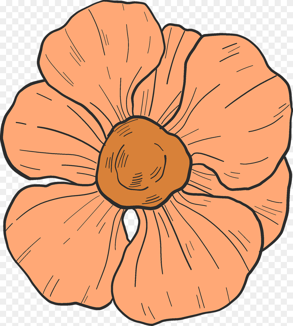 Spring Flower Clipart, Anemone, Anther, Petal, Plant Free Png