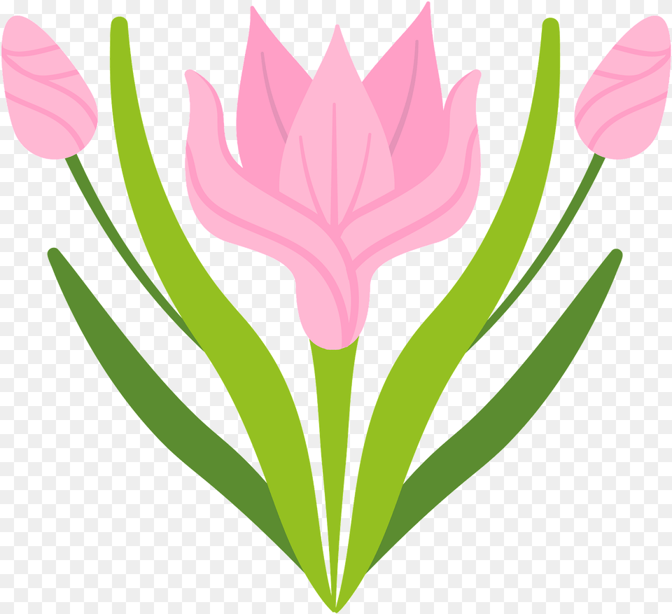Spring Flower Clipart Download Transparent Language, Petal, Plant, Tulip Free Png