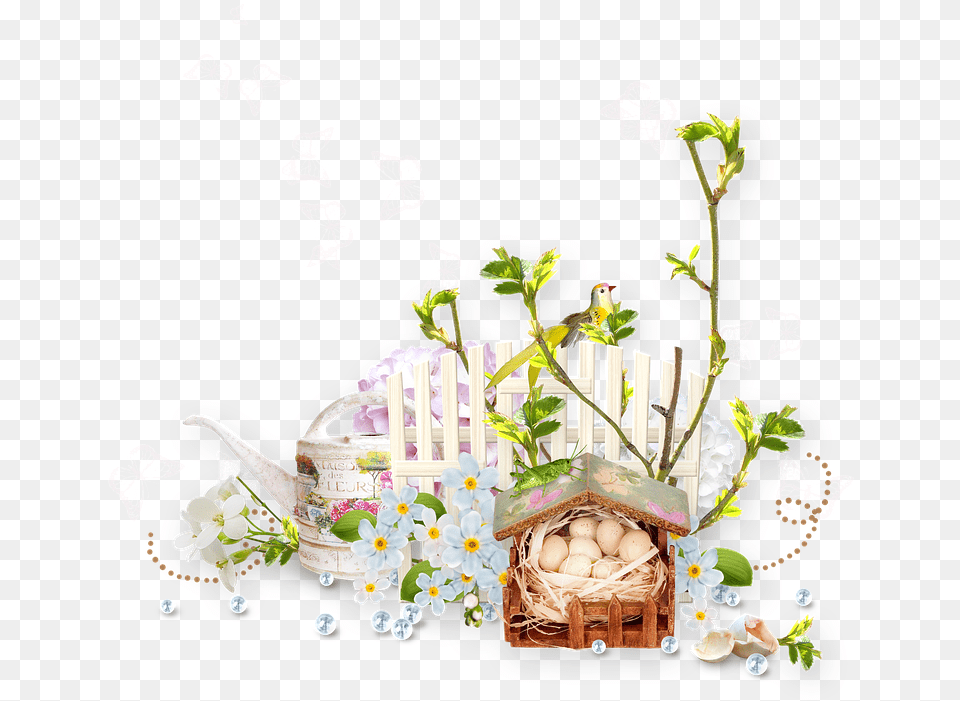 Spring Flower Crocus Saffron Grass Shell Egg Pixabay Flowers Spring Spring, People, Person, Plant Png