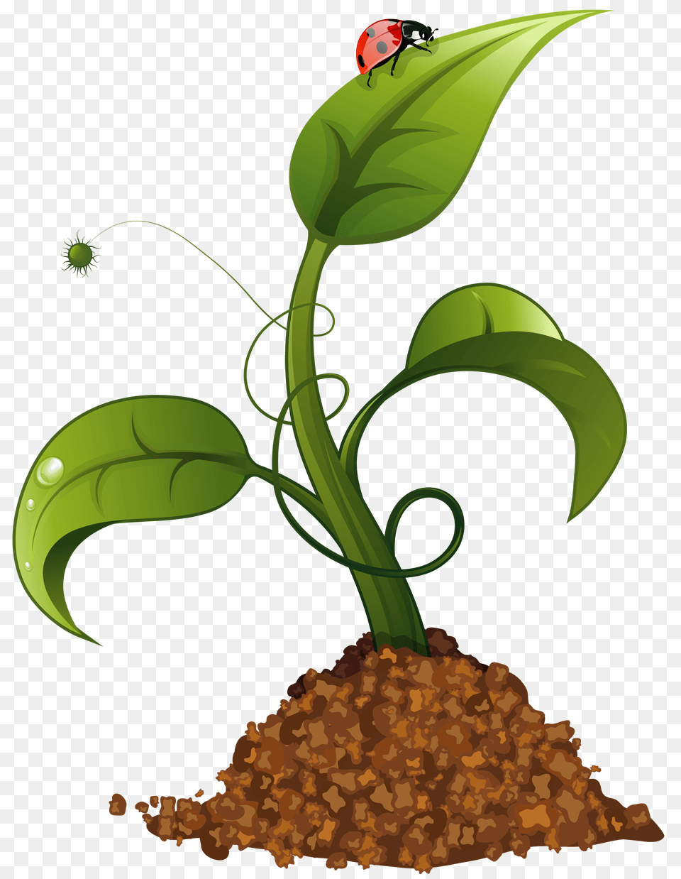 Spring Flower Crop Clip Art, Herbal, Herbs, Leaf, Plant Free Transparent Png