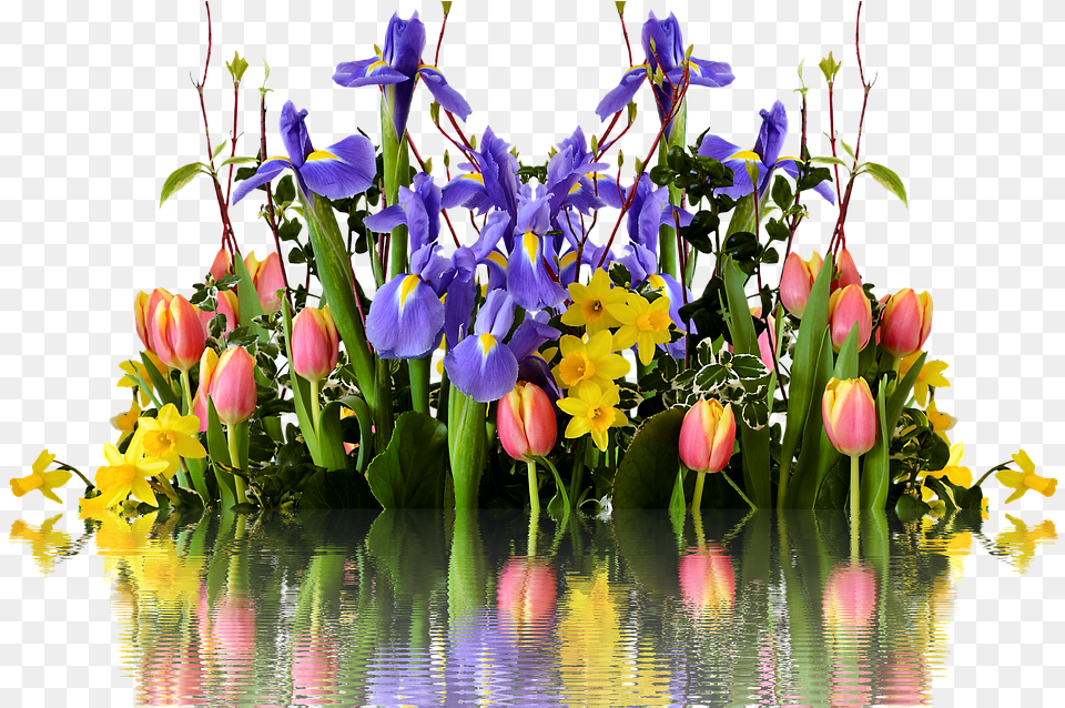 Spring Flower Transparent 417 Tulipany I Zonkile, Flower Arrangement, Flower Bouquet, Iris, Plant Free Png Download