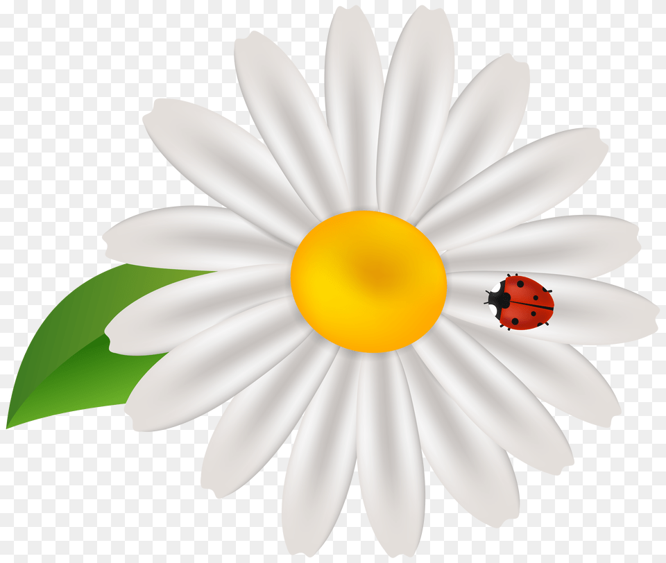 Spring Flower With Lady Bug Transparent Clip Gallery Png