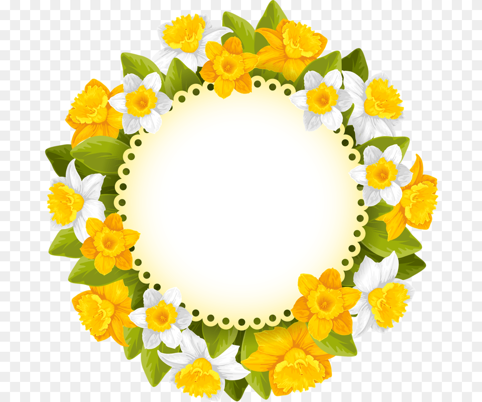 Spring Flowers, Flower, Plant, Daffodil, Anemone Free Png Download