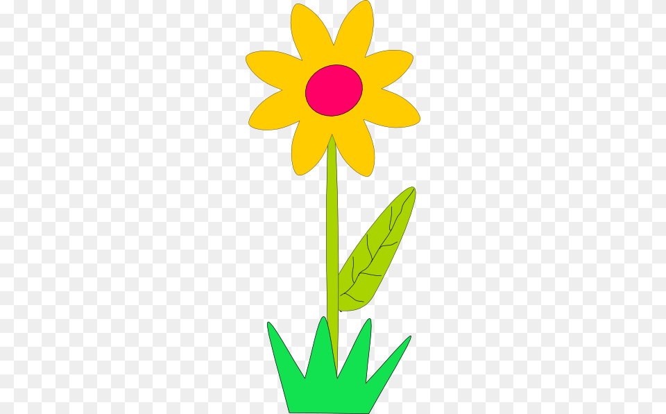 Spring Flowers Clip Art, Daisy, Plant, Flower, Daffodil Free Png Download