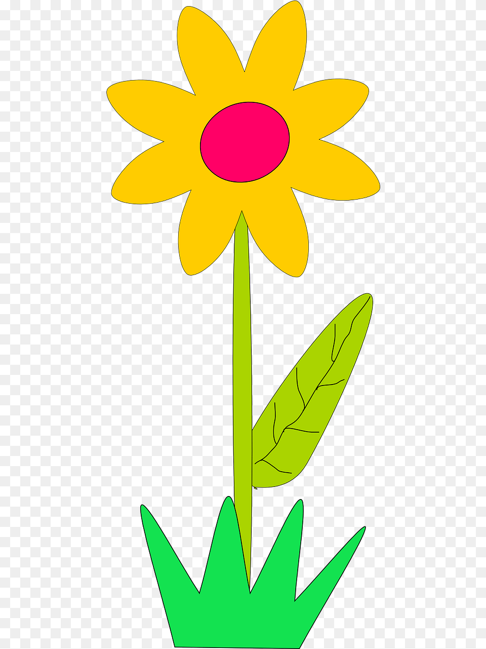 Spring Flowers Clip Art, Daisy, Plant, Flower, Petal Free Png