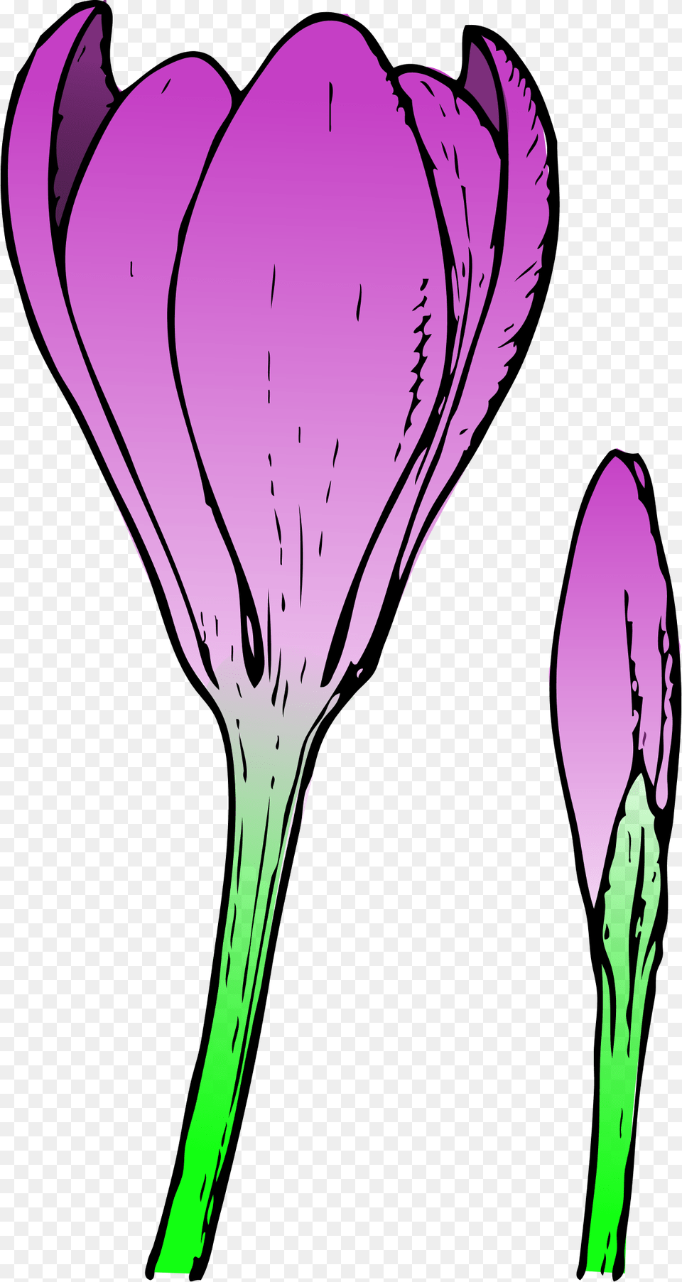 Spring Flowers Clip Art And Flower Clips, Petal, Plant, Purple, Person Png Image