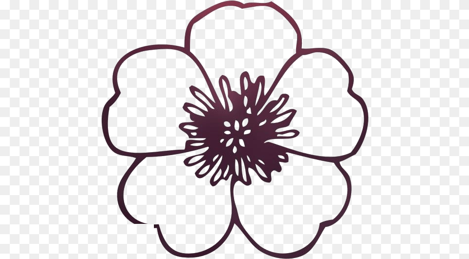 Spring Flowers Clip Art Black And White, Anemone, Anther, Flower, Plant Free Png