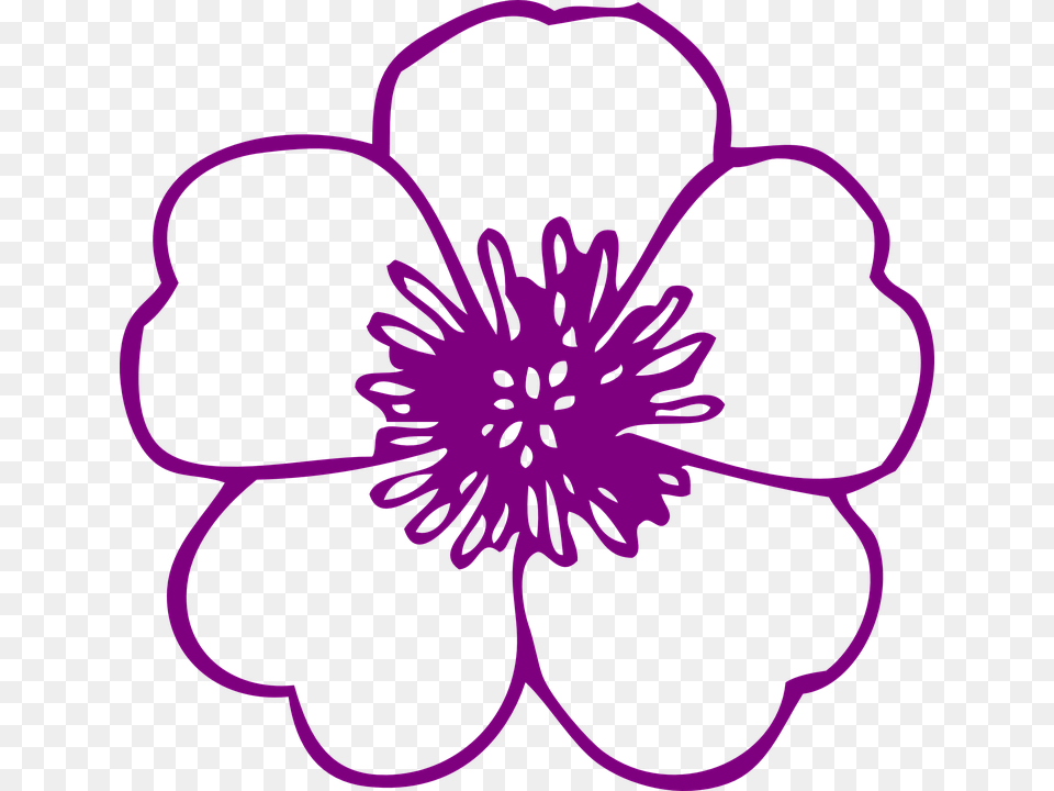 Spring Flowers Clip Art Black And White, Anemone, Plant, Purple, Flower Png