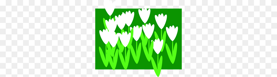 Spring Flowers Clip Art For Web, Green, Flower, Graphics, Plant Free Transparent Png