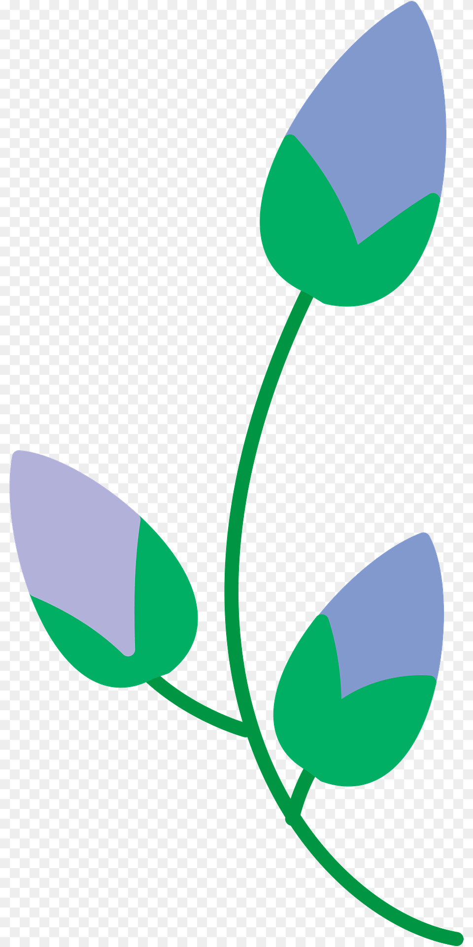 Spring Flowers Clipart, Art, Graphics, Flower, Plant Png Image