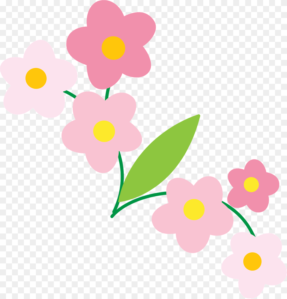 Spring Flowers Clipart, Anemone, Flower, Petal, Plant Free Png Download