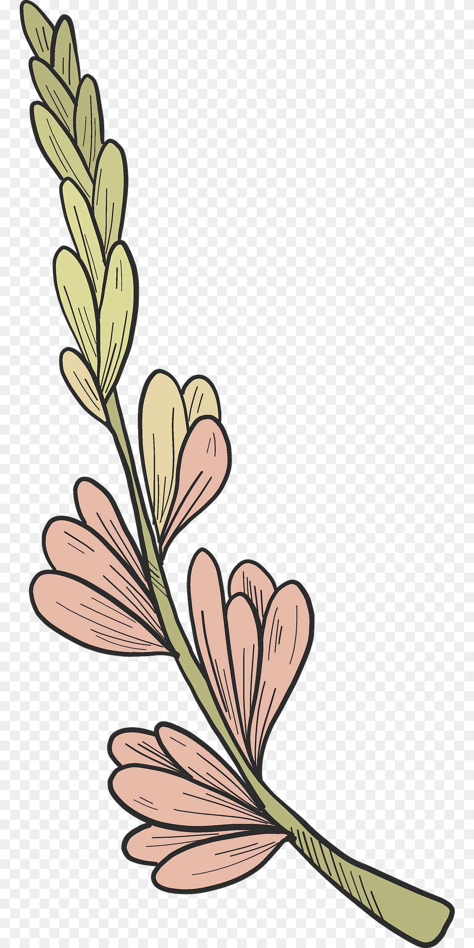 Spring Flowers Clipart, Art, Floral Design, Graphics, Pattern Png Image