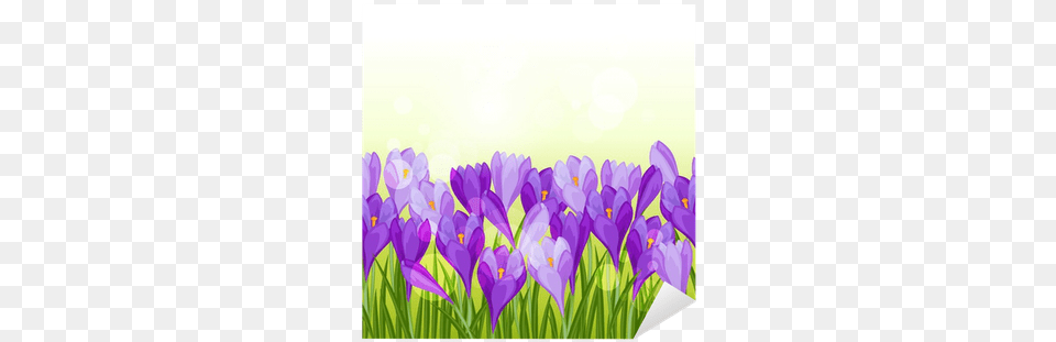 Spring Flowers Crocus Seamless Pattern Horizontal Border Flower, Plant, Purple, Iris, Outdoors Png