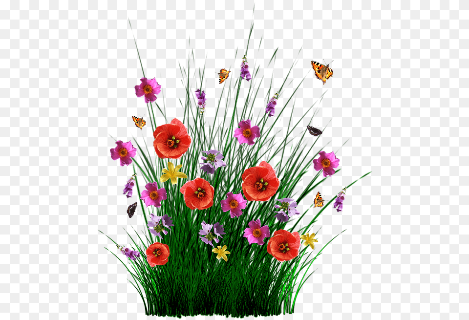 Spring Flowers Grass, Anemone, Flower, Flower Arrangement, Flower Bouquet Png Image
