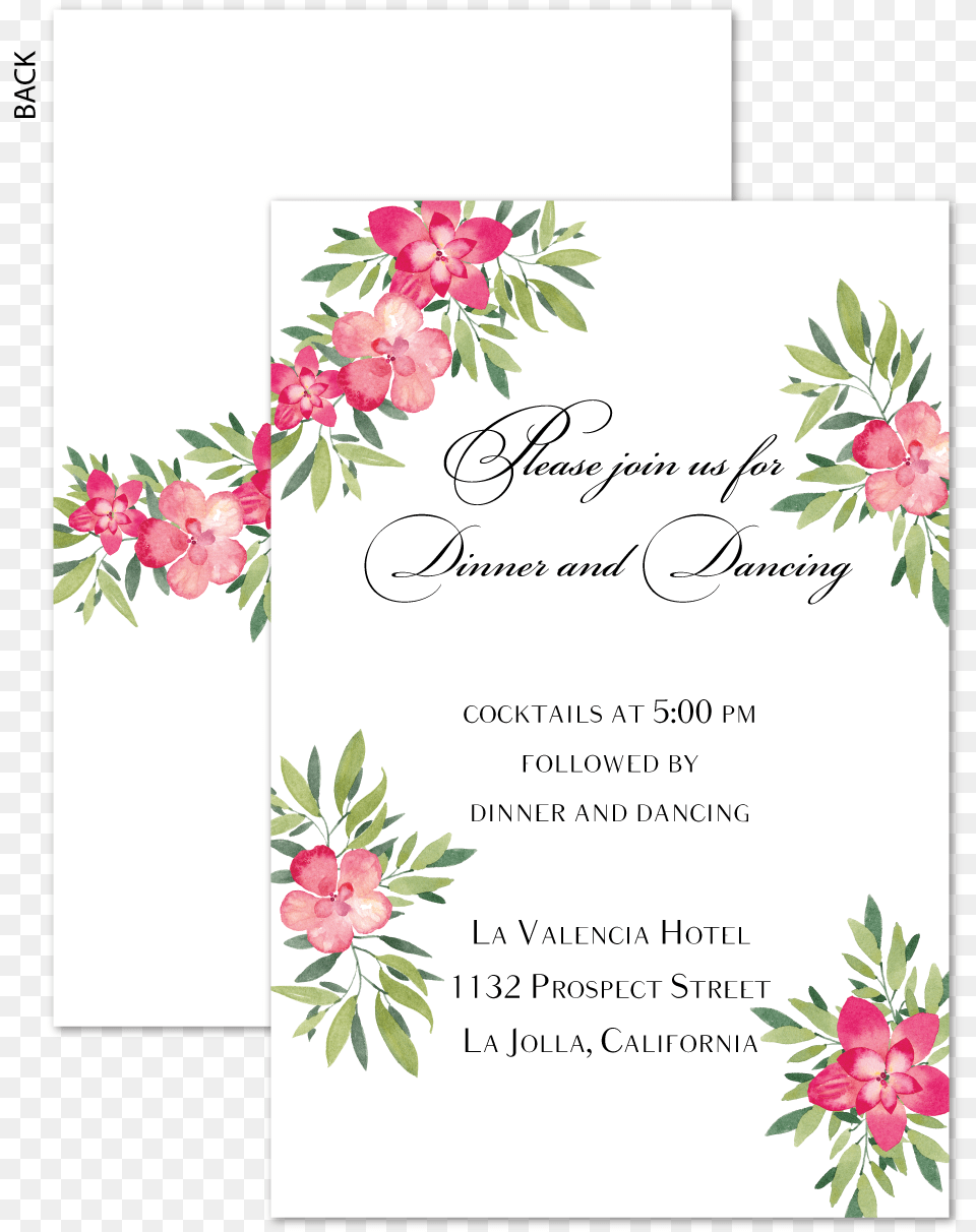 Spring Flowers Invitation Reception Carddata Caption African Daisy, Envelope, Greeting Card, Mail, Advertisement Free Transparent Png