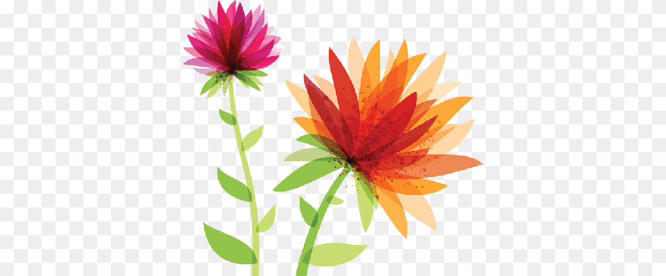 Spring Flowers Library Huge Freebie For Spring Flower Clipart, Art, Dahlia, Graphics, Petal Free Png