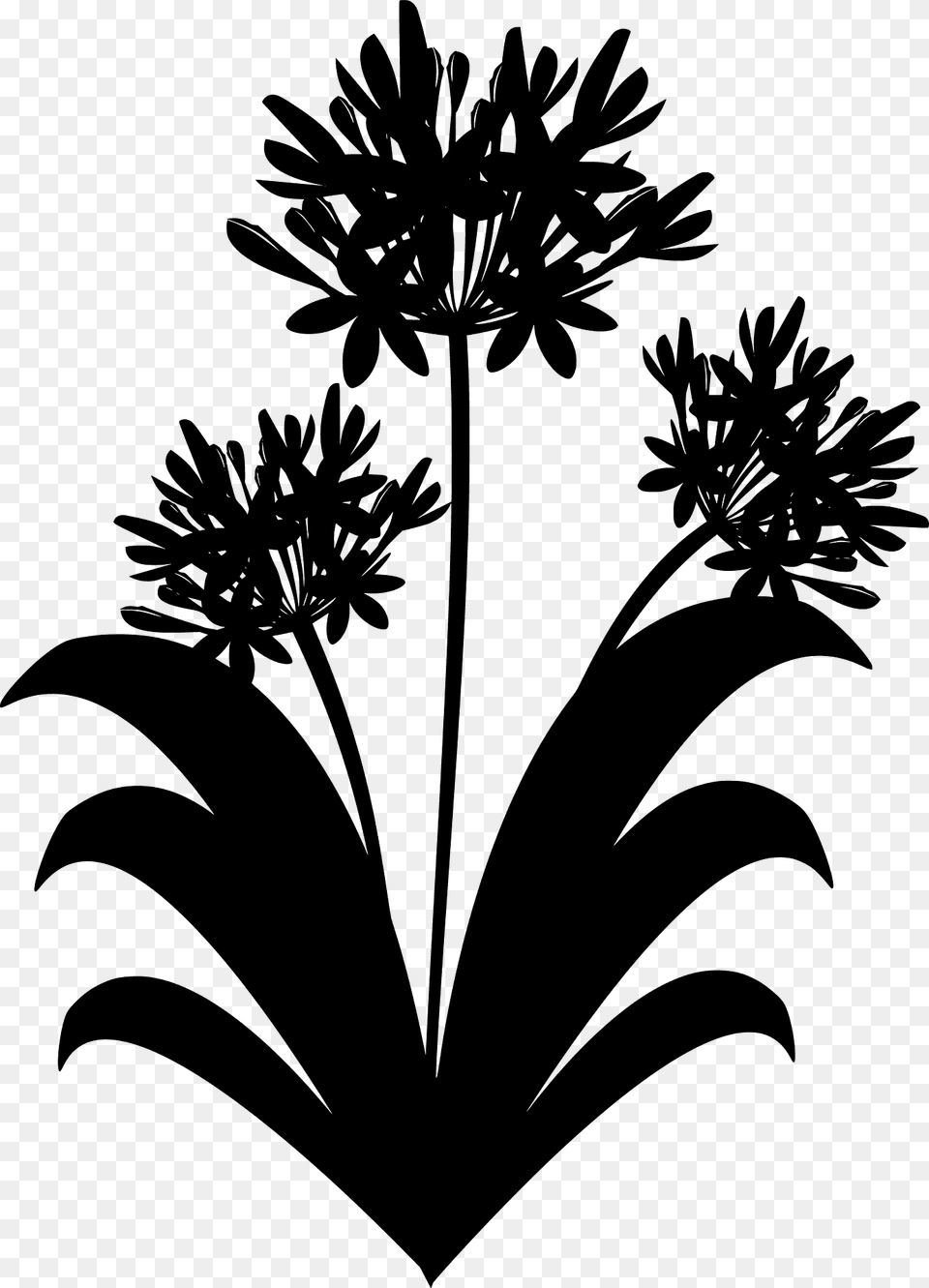 Spring Flowers Silhouette, Stencil, Art, Flower, Plant Free Transparent Png