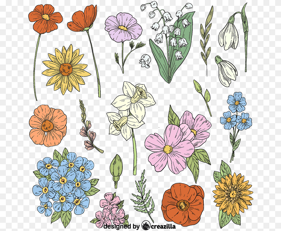 Spring Flowers Vector Flower Vector, Pattern, Anemone, Art, Daisy Png Image