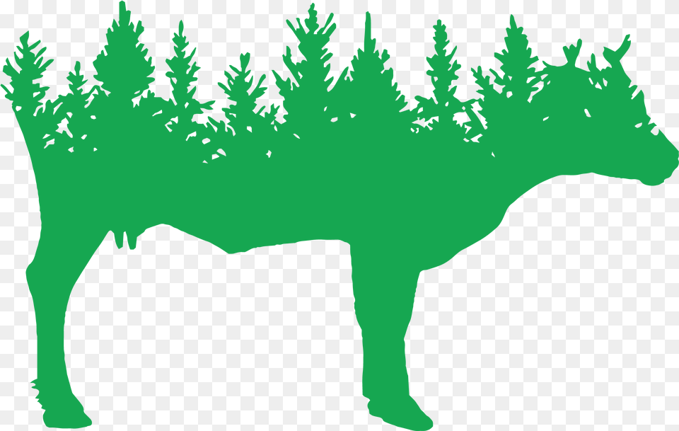 Spring Forest Farm Pine Trees Background Vector Cattle, Baby, Person, Animal, Dinosaur Free Png Download