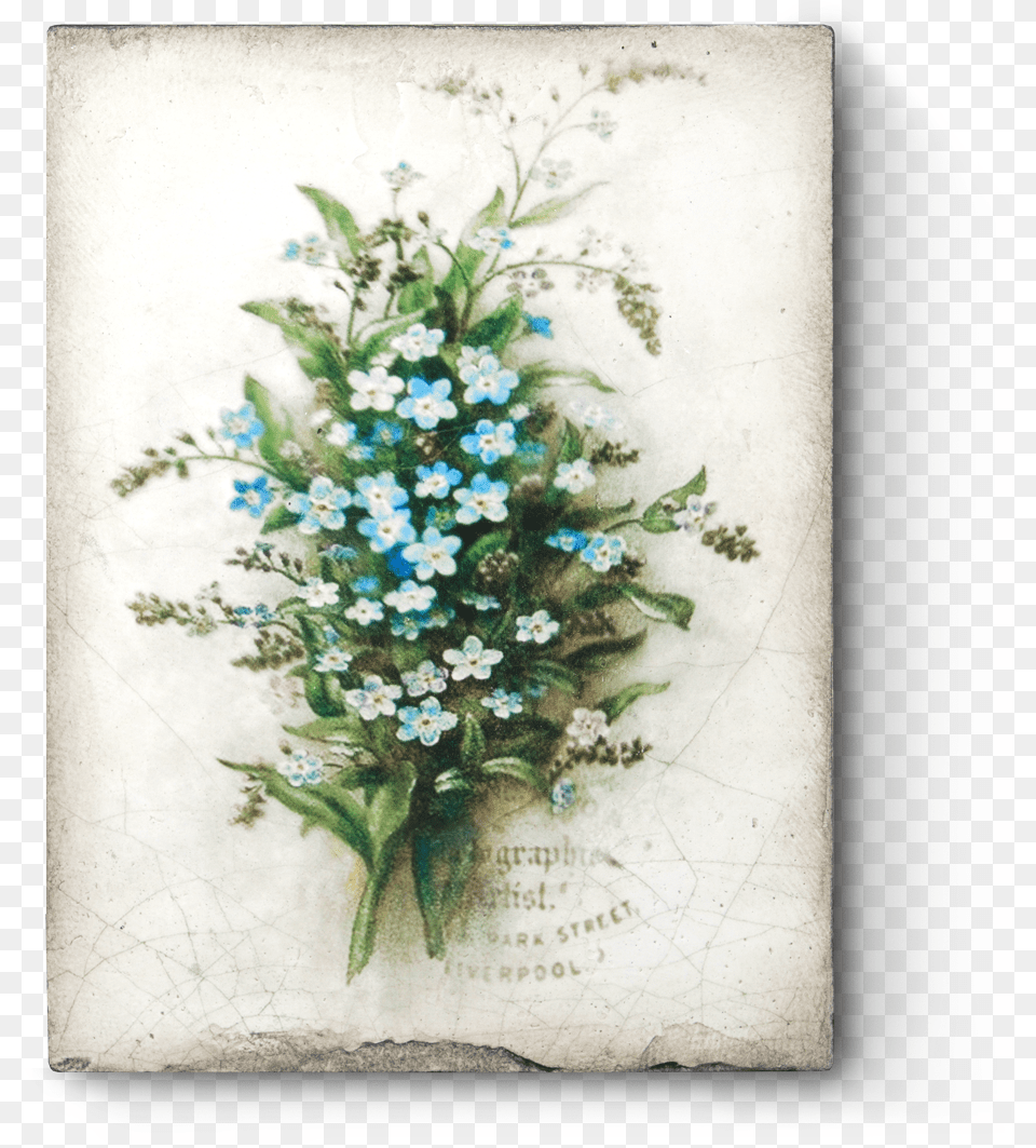 Spring Forget Me Not, Art, Pattern, Painting, Mail Free Png