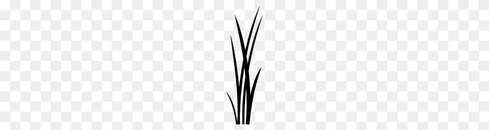 Spring Grass, Gray Png