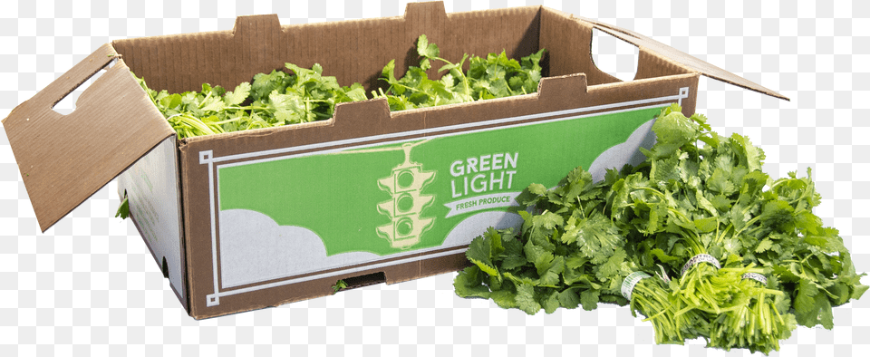 Spring Greens Png