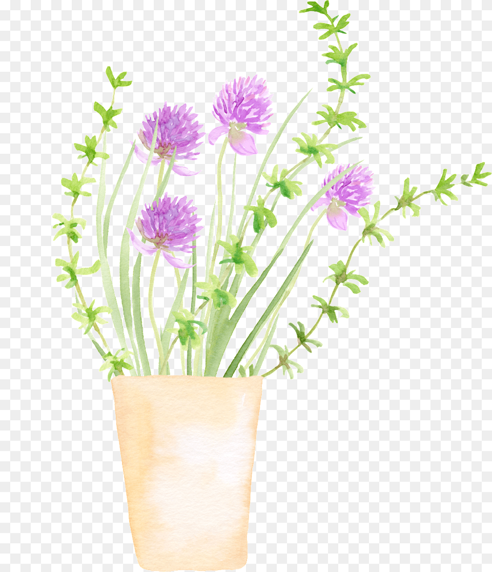 Spring Growing Plant Cartoon Transparent Flowerpot, Flower, Flower Arrangement, Potted Plant, Pottery Free Png Download