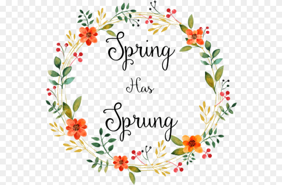 Spring Has Sprung Flowers, Art, Floral Design, Graphics, Pattern Free Png Download