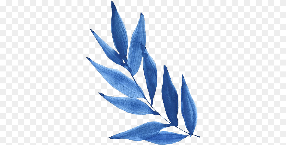 Spring Hoja Blue Azul Sheet Primavera Tumblr Blue Watercolor Picsart, Leaf, Plant, Art, Shark Free Png Download
