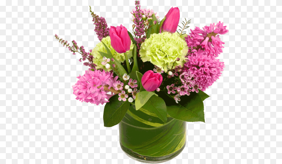 Spring Hyacinth Eust G Rosita Rose Pink, Flower, Flower Arrangement, Flower Bouquet, Plant Free Png