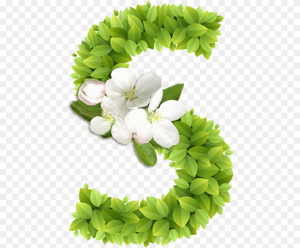 Spring In Letters, Flower, Flower Arrangement, Plant, Accessories Png Image