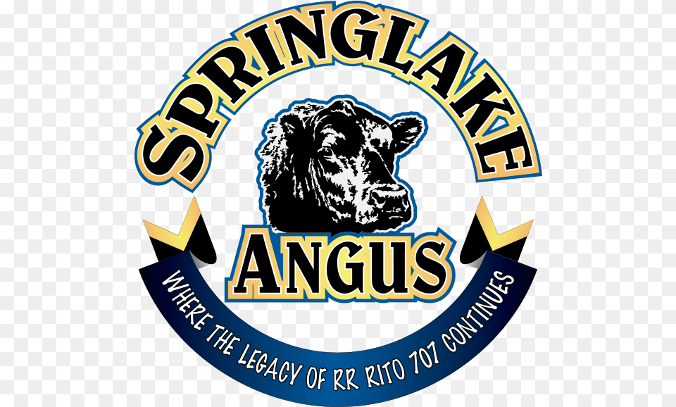 Spring Lake Angus Sales, Animal, Bull, Cattle, Livestock Png