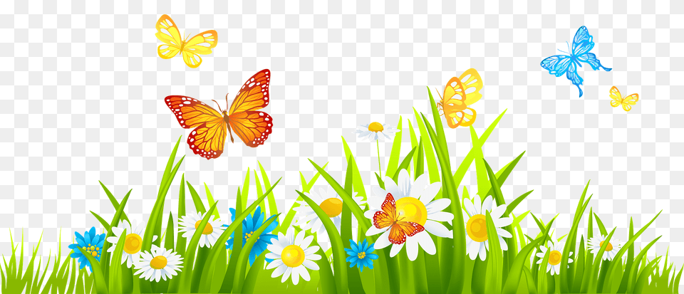 Spring Landscape Clipart, Daisy, Flower, Nature, Outdoors Free Transparent Png