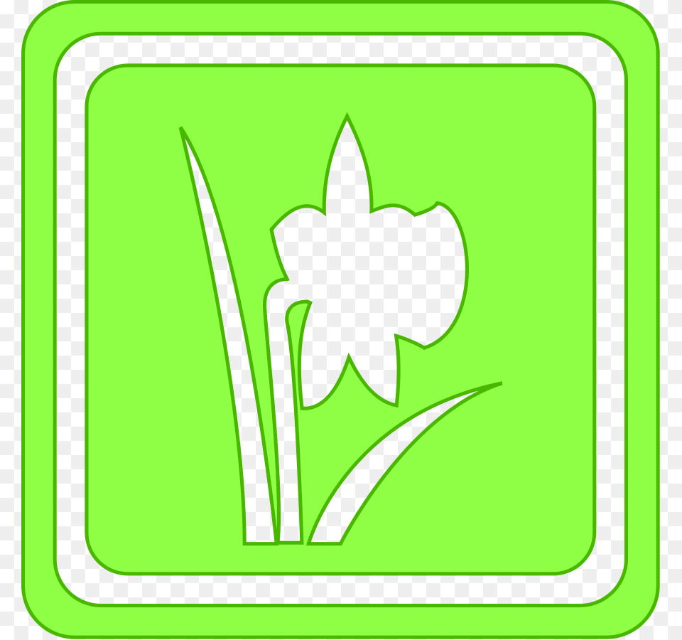 Spring Large Size, Flower, Plant, Logo, Green Free Png Download
