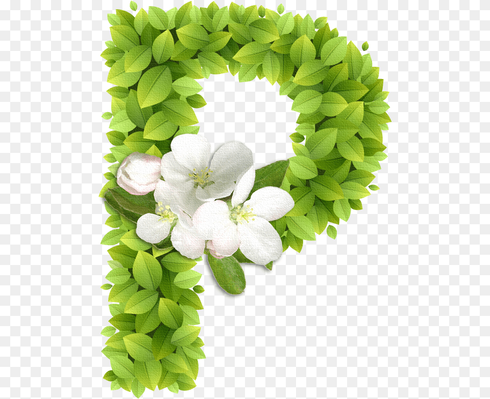 Spring Letters, Plant, Flower, Flower Arrangement, Wreath Free Png