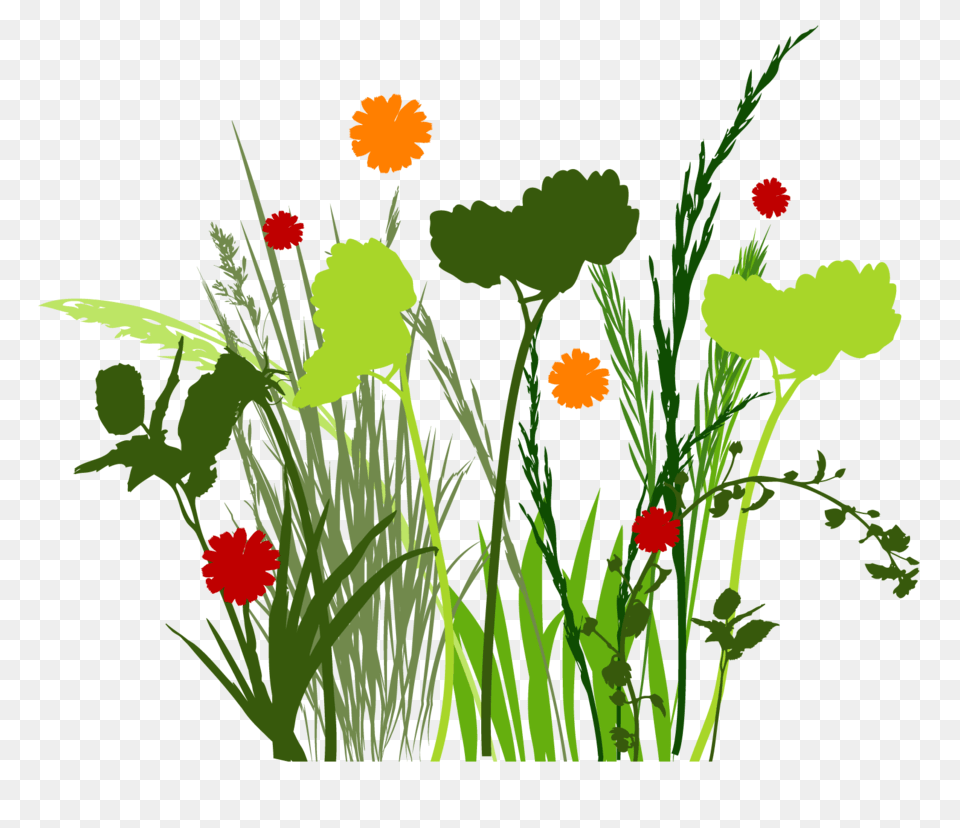 Spring Meadow Clip Art Cliparts, Flower, Green, Plant, Floral Design Png Image