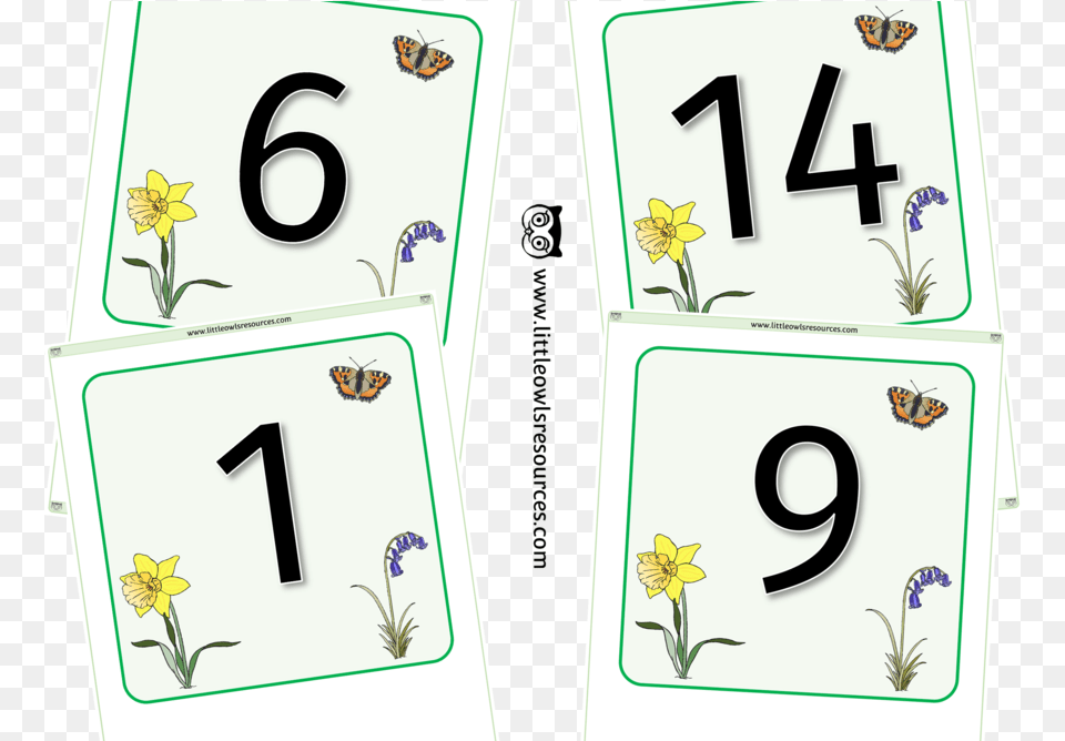 Spring Number Lineflashcards 0 25 Flashcard, Symbol, Text, Plant Png