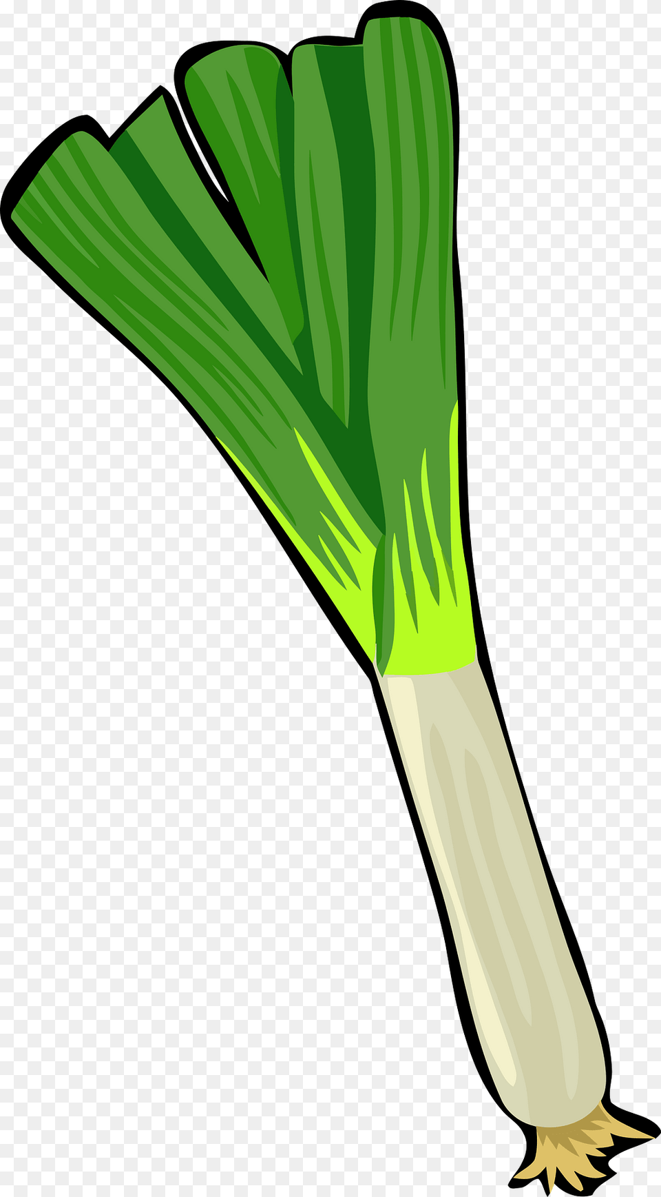 Spring Onion Clipart, Food, Leek, Plant, Produce Png