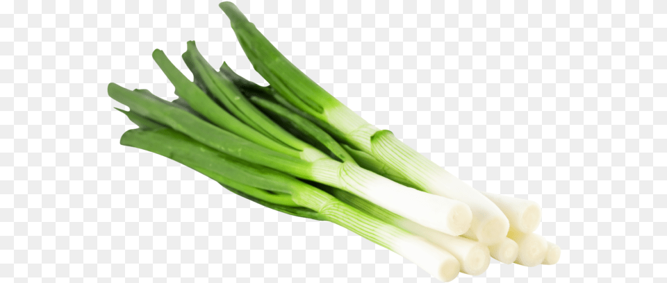 Spring Onion In German, Food, Produce Free Png Download