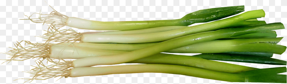 Spring Onions, Food, Plant, Produce Png