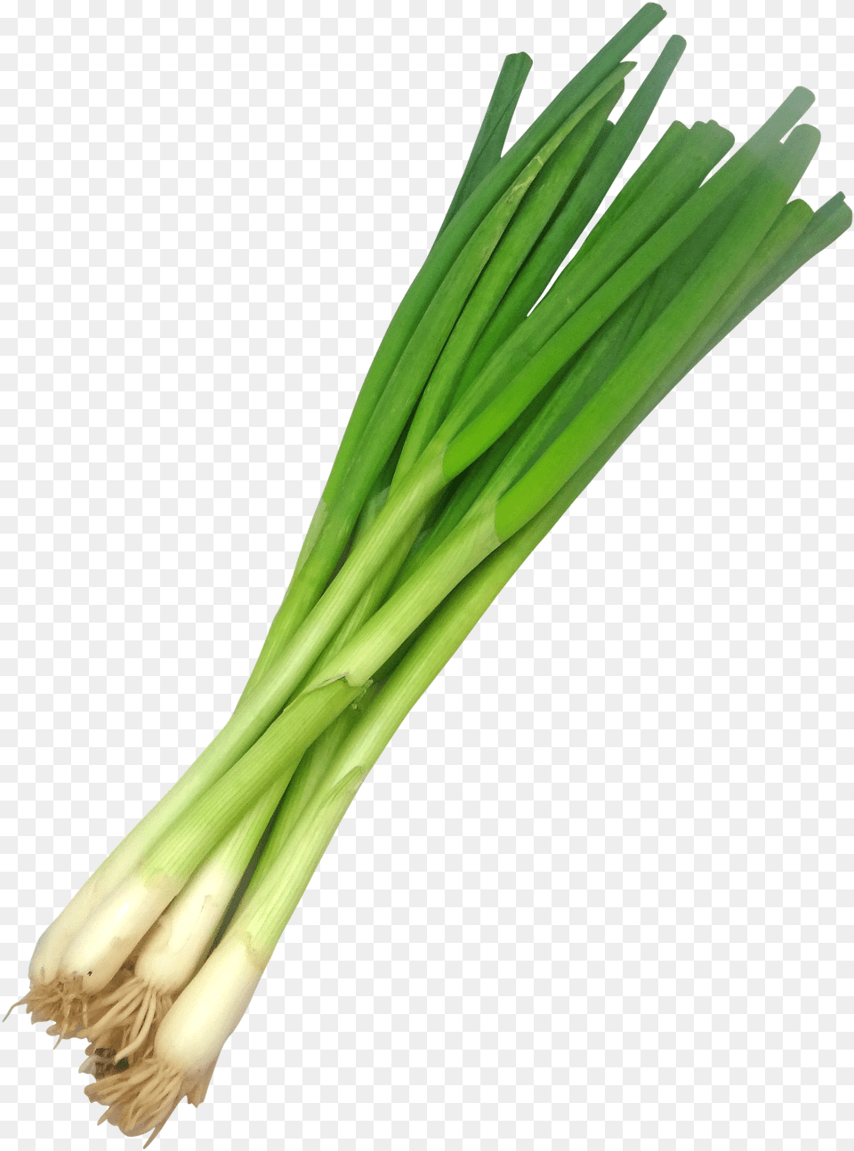 Spring Onions Transparent Background, Food, Plant, Produce, Spring Onion Png