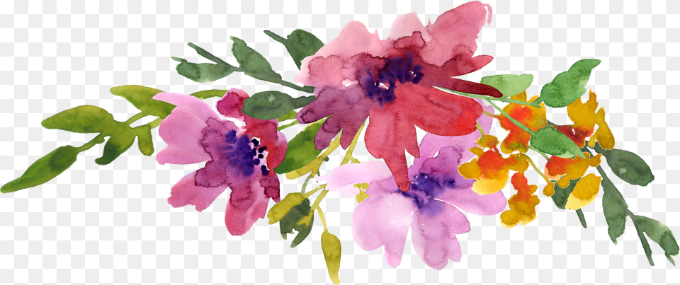 Spring Pics For Watercolor Mini Birthday Card Png Image
